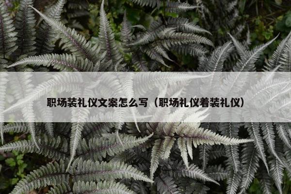 职场装礼仪文案怎么写（职场礼仪着装礼仪）