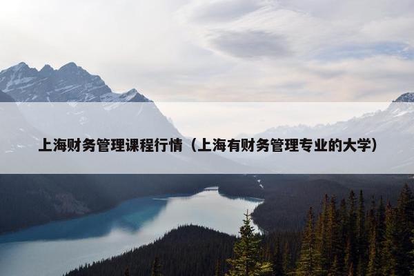 上海财务管理课程行情（上海有财务管理专业的大学）