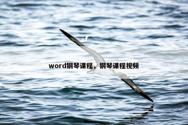 word钢琴课程，钢琴课程视频