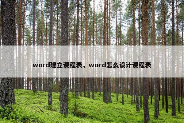 word建立课程表，word怎么设计课程表