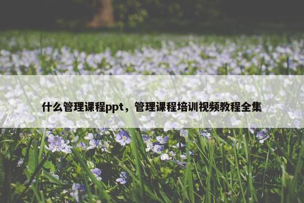 什么管理课程ppt，管理课程培训视频教程全集
