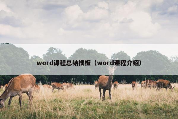 word课程总结模板（word课程介绍）