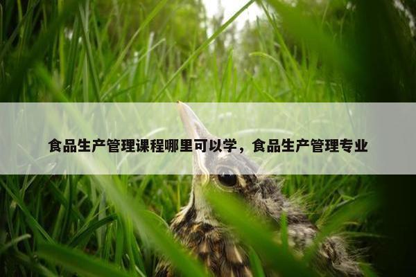 食品生产管理课程哪里可以学，食品生产管理专业