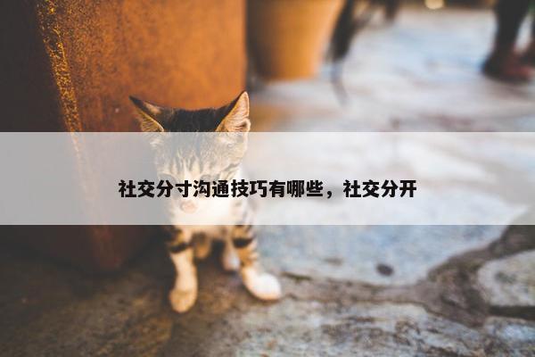 社交分寸沟通技巧有哪些，社交分开