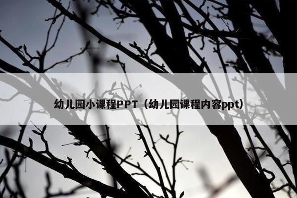 幼儿园小课程PPT（幼儿园课程内容ppt）