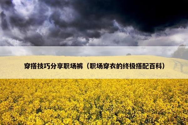 穿搭技巧分享职场裤（职场穿衣的终极搭配百科）