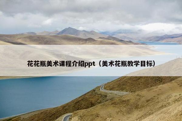 花花瓶美术课程介绍ppt（美术花瓶教学目标）