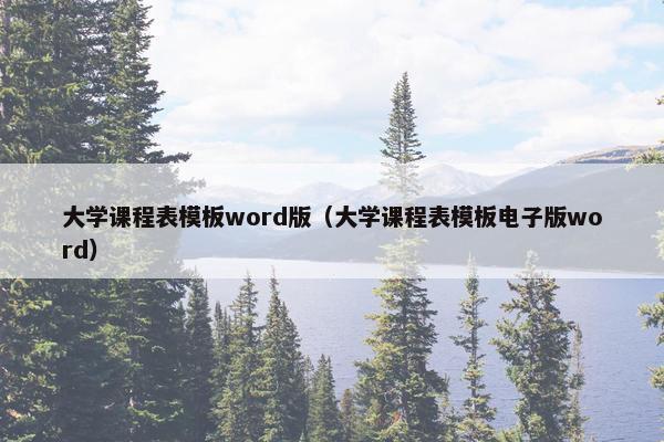 大学课程表模板word版（大学课程表模板电子版word）