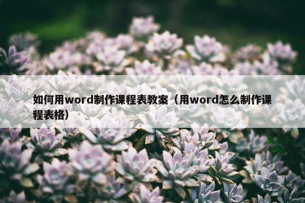 如何用word制作课程表教案（用word怎么制作课程表格）