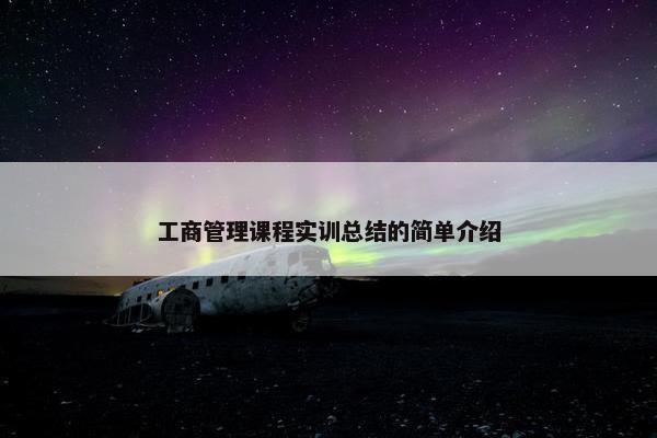 工商管理课程实训总结的简单介绍