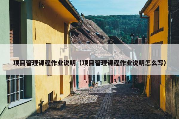 项目管理课程作业说明（项目管理课程作业说明怎么写）