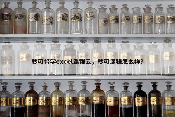 秒可督学excel课程云，秒可课程怎么样?
