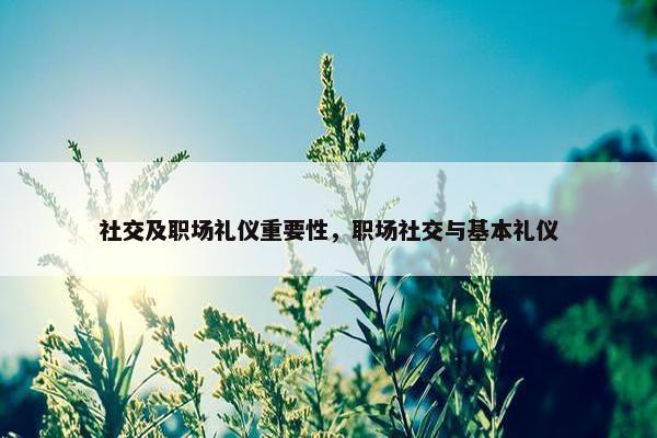 社交及职场礼仪重要性，职场社交与基本礼仪