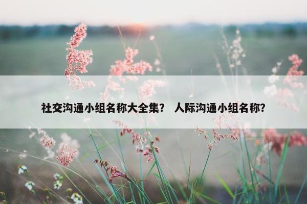 社交沟通小组名称大全集？ 人际沟通小组名称？