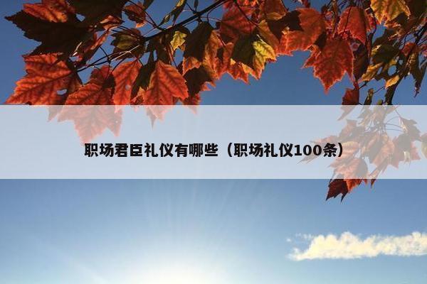 职场君臣礼仪有哪些（职场礼仪100条）