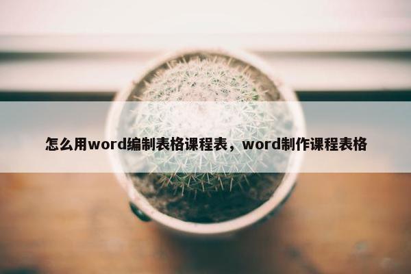 怎么用word编制表格课程表，word制作课程表格