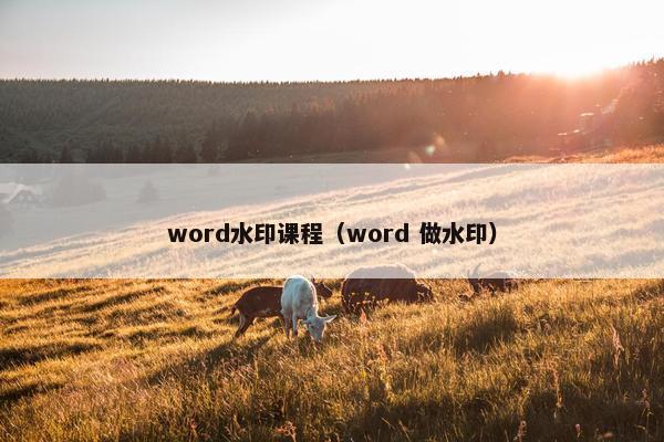 word水印课程（word 做水印）