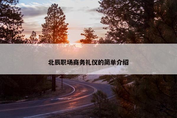 北辰职场商务礼仪的简单介绍