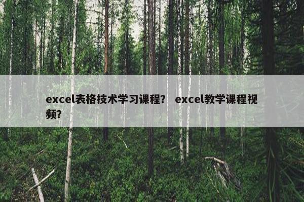 excel表格技术学习课程？ excel教学课程视频？
