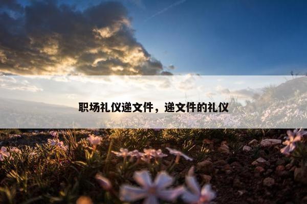 职场礼仪递文件，递文件的礼仪