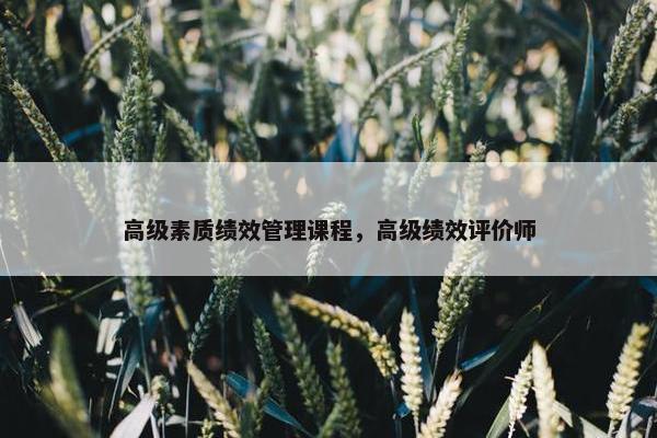 高级素质绩效管理课程，高级绩效评价师