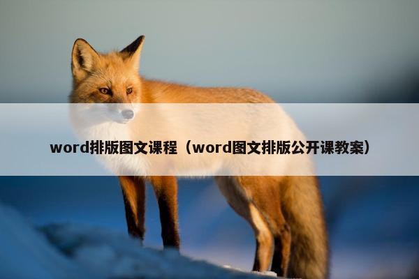 word排版图文课程（word图文排版公开课教案）