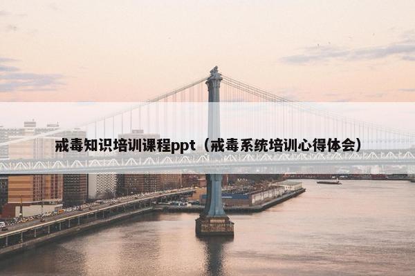 戒毒知识培训课程ppt（戒毒系统培训心得体会）