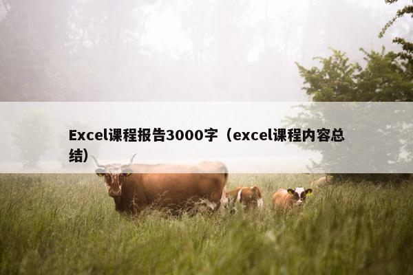Excel课程报告3000字（excel课程内容总结）