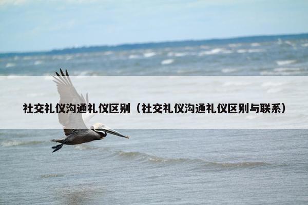 社交礼仪沟通礼仪区别（社交礼仪沟通礼仪区别与联系）