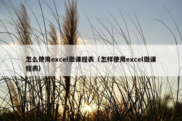 怎么使用excel做课程表（怎样使用excel做课程表）