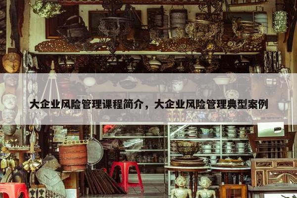 大企业风险管理课程简介，大企业风险管理典型案例