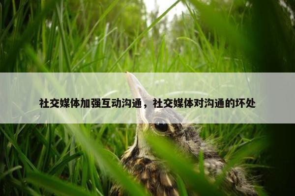 社交媒体加强互动沟通，社交媒体对沟通的坏处