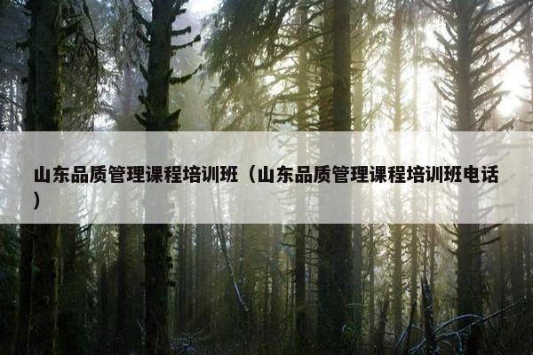 山东品质管理课程培训班（山东品质管理课程培训班电话）