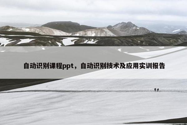 自动识别课程ppt，自动识别技术及应用实训报告