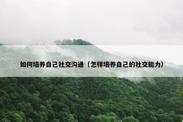 如何培养自己社交沟通（怎样培养自己的社交能力）