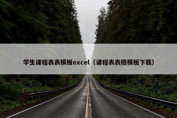 学生课程表表模板excel（课程表表格模板下载）