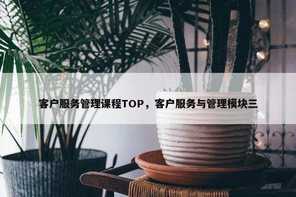客户服务管理课程TOP，客户服务与管理模块三