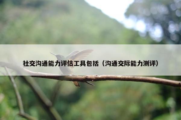社交沟通能力评估工具包括（沟通交际能力测评）
