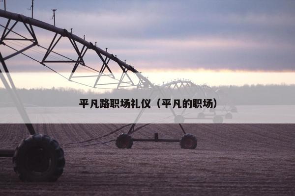 平凡路职场礼仪（平凡的职场）