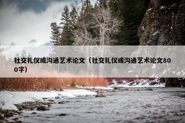 社交礼仪或沟通艺术论文（社交礼仪或沟通艺术论文800字）