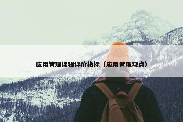 应用管理课程评价指标（应用管理观点）