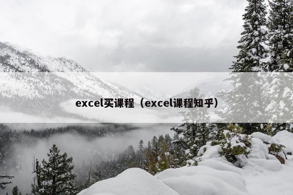 excel买课程（excel课程知乎）