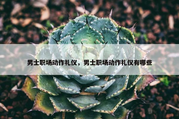 男士职场动作礼仪，男士职场动作礼仪有哪些