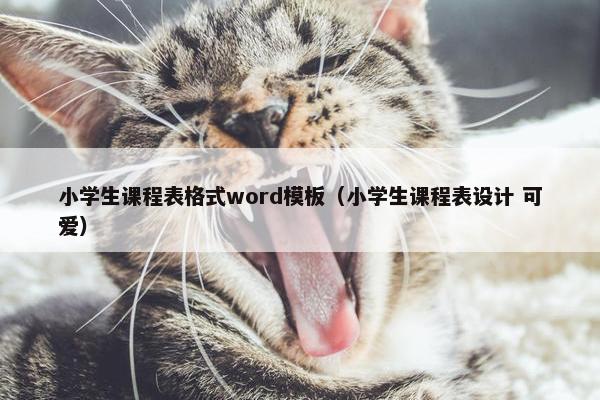 小学生课程表格式word模板（小学生课程表设计 可爱）