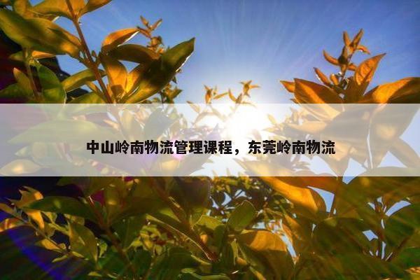 中山岭南物流管理课程，东莞岭南物流