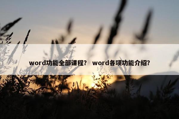 word功能全部课程？ word各项功能介绍？