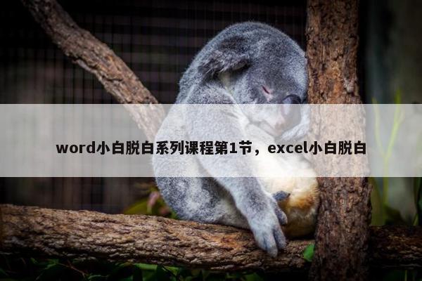 word小白脱白系列课程第1节，excel小白脱白