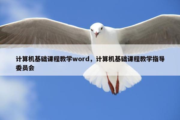 计算机基础课程教学word，计算机基础课程教学指导委员会