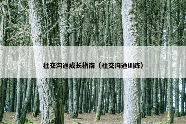 社交沟通成长指南（社交沟通训练）