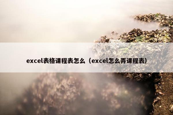 excel表格课程表怎么（excel怎么弄课程表）